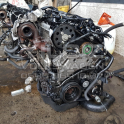 Oto Çıkma Parça / Volkswagen / Tiguan / Motor / Motor (komple) / Sıfır Parça 