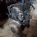 Oto Çıkma Parça / Audi / A2 / Motor / Motor (komple) / Çıkma Parça 
