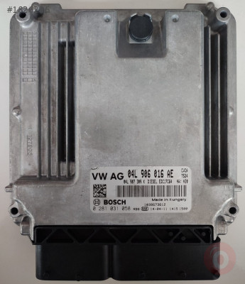 0281031058 04L906016AE VW MOTOR BEYNİ