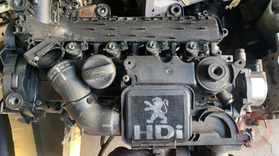 PEUGEOT PEJO 1.4 HDİ KÜLBÜTÖR KAPAĞI ORJİNAL ÇIKMA TEMSAN