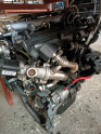 Oto Çıkma Parça / Fiat / Linea / Motor / Motor (komple) / Çıkma Parça 