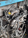 Oto Çıkma Parça / Renault / Megane / Motor / Komple Motor / Çıkma Parça 