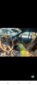 Oto Çıkma Parça / Ford / Mustang / Koltuk & Döşeme / Kapı Döşemesi / Çıkma Parça 