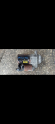 Oto Çıkma Parça / Hyundai / Accent / Elektrik / Marş Motoru / Çıkma Parça 