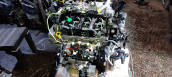 Oto Çıkma Parça / Opel / Vivaro / Motor / Motor (komple) / Çıkma Parça 