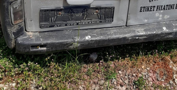 renault trafic çıkma arka tampon