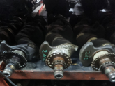 Oto Çıkma Parça / Toyota / C-HR Hybrid / Motor / Krank / Çıkma Parça 