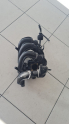 Oto Çıkma Parça / Ford / Focus / Motor / Emme Manifoldu / Çıkma Parça 