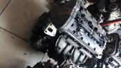 Oto Çıkma Parça / Peugeot / 307 / Motor / Motor (komple) / Çıkma Parça 