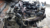 Oto Çıkma Parça / Ford / Tourneo Courier / Motor / Motor (komple) / Çıkma Parça 