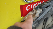 Oto Çıkma Parça / Chevrolet / Cruze / Kaporta & Karoser / Kaput / Çıkma Parça 