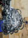 Oto Çıkma Parça / Ford / Focus / Motor / Motor (komple) / Çıkma Parça 