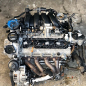 Volkswagen Golf 1.6  FSI Benzin BLF Orijinal Çıkma Motor