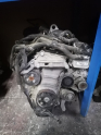 Oto Çıkma Parça / Volkswagen / Golf / Motor / Komple Motor / Çıkma Parça 