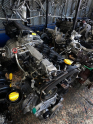 Oto Çıkma Parça / Fiat / Doblo / Motor / Motor (komple) / Çıkma Parça 