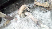 Oto Çıkma Parça / Toyota / Land Cruiser / Defransiyel / Arka Defransiyel / Çıkma Parça 
