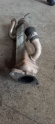 Oto Çıkma Parça / Fiat / Ducato / Motor / EGR / Çıkma Parça 