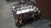Oto Çıkma Parça / Hyundai / Accent / Motor / Motor (komple) / Çıkma Parça 