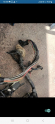 Oto Çıkma Parça / Hyundai / Accent / Elektrik / Elektrik Tesisatı / Çıkma Parça 