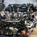 Oto Çıkma Parça / Ford / Focus / Motor / Motor (komple) / Çıkma Parça 