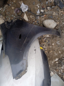 Toyota Yaris sol ön çamurluk