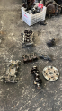 Oto Çıkma Parça / Nissan / Micra / Motor / Külbütör Kapağı / Çıkma Parça 