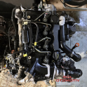 Oto Çıkma Parça / Ford / Focus / Motor / Motor (komple) / Çıkma Parça 