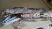 Oto Çıkma Parça / Bmw / 7 Serisi / Airbag / Tavan Airbag / Çıkma Parça 