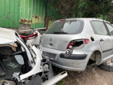 Oto Çıkma Parça / Peugeot / 307 / Kaporta & Karoser / Kesme Tavan Sacı / Çıkma Parça 