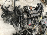 Oto Çıkma Parça / Ford / Focus / Motor / Motor (komple) / Çıkma Parça 