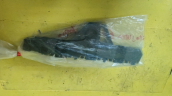 Oto Çıkma Parça / Opel / Crossland X / Tampon / Tampon Braketi / Sıfır Parça 