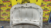 Oto Çıkma Parça / Opel / Insignia / Kaporta & Karoser / Kaput / Çıkma Parça 