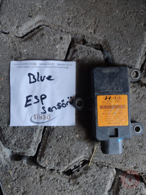 Bulue esp sensörü