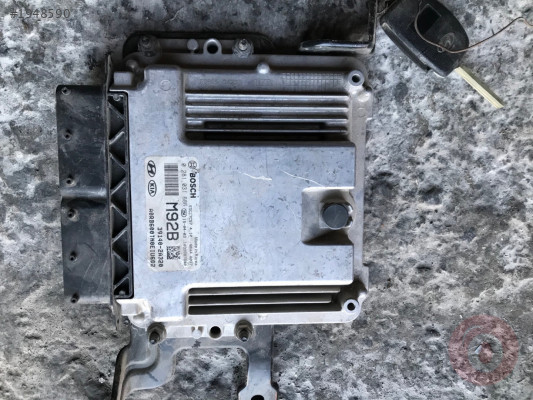 Otantik bulue motor beyni