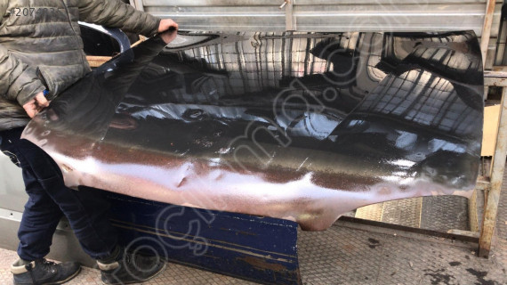 TOYOTA COROLLA MOTOR KAPUTU 1999-2002