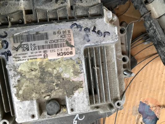 207 motor beyni