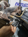 nissan primera p12 orjinal oksijen sensörü. Son fiyat