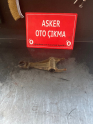 Oto Çıkma Parça / Fiat / Ducato / Yağlama / Şanzıman Yağları / Çıkma Parça 