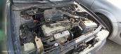 Oto Çıkma Parça / Nissan / Sunny / Motor / Motor (komple) / Çıkma Parça 