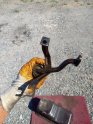 Oto Çıkma Parça / Ford / Escort / Motor / Karter / Çıkma Parça 