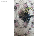 Oto Çıkma Parça / Ford / Escort / Kaporta & Karoser / Bagaj Kilidi / Sıfır Parça 