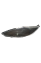 Ford Fiesta Sol Far Camı 2008-2013 (İTHAL)