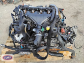 Oto Çıkma Parça / Citroen / C5 / Motor / Motor (komple) / Çıkma Parça 