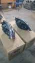 Oto Çıkma Parça / Ford / Transit Custom / Far & Stop / Sol Ön Far / Sıfır Parça 