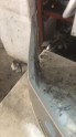 Oto Çıkma Parça / Skoda / Octavia / Tampon / Ön Tampon / Çıkma Parça 