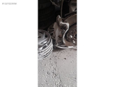 Oto Çıkma Parça / Nissan / Qashqai / Fren / Kaliper / Çıkma Parça 