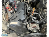 Oto Çıkma Parça / Volkswagen / Passat / Motor / Motor (komple) / Çıkma Parça 