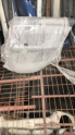 Oto Çıkma Parça / Jaguar / XF / Koltuk & Döşeme / Kapı Döşemesi / Çıkma Parça 