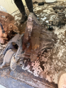 Oto Çıkma Parça / Honda / Civic / Şanzıman / Şanzıman Komple / Çıkma Parça 