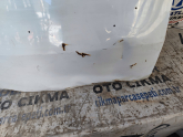 Oto Çıkma Parça / Dacia / Logan / Kaporta & Karoser / Bagaj Kapağı / Çıkma Parça 